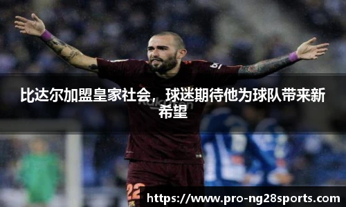 ng体育官方网站